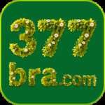 377bra - Live Premium